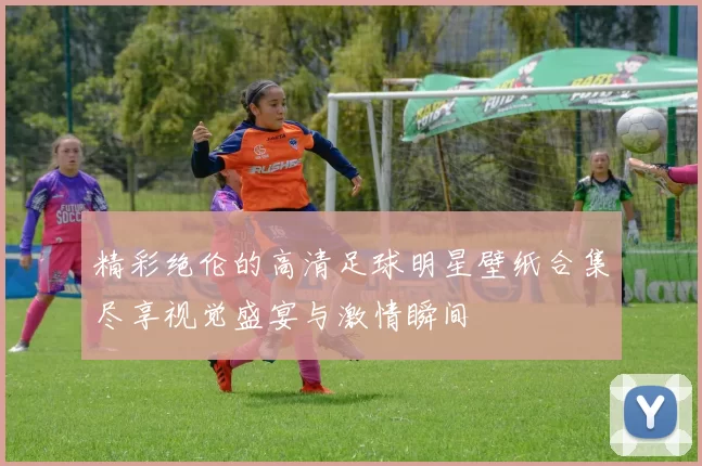 精彩绝伦的高清足球明星壁纸合集尽享视觉盛宴与激情瞬间