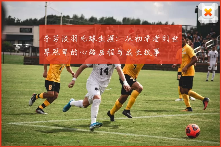李芳谈羽毛球生涯：从初学者到世界冠军的心路历程与成长故事