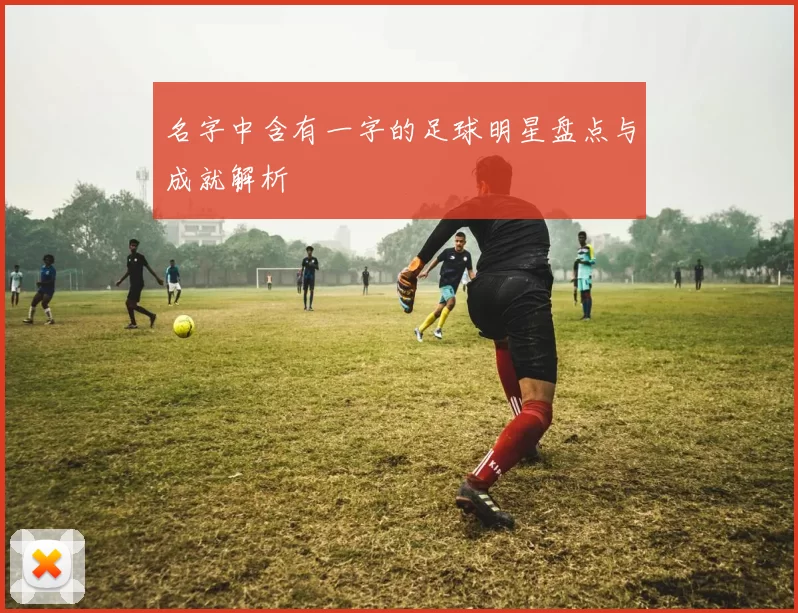 名字中含有一字的足球明星盘点与成就解析