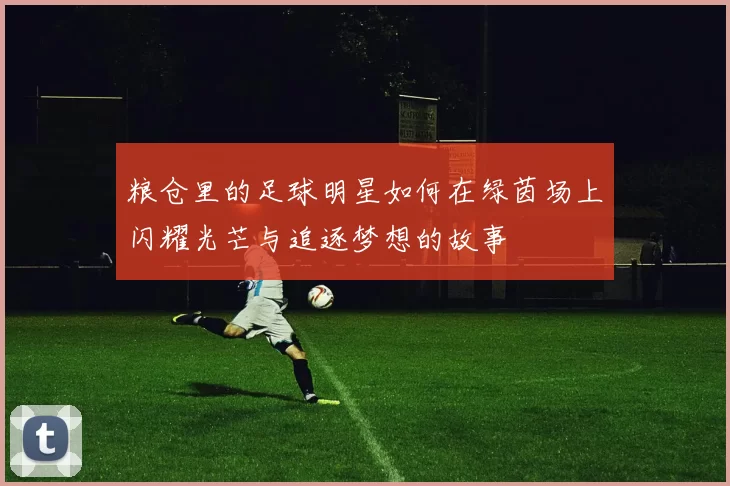 粮仓里的足球明星如何在绿茵场上闪耀光芒与追逐梦想的故事