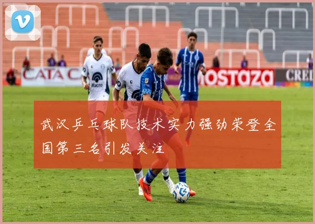 武汉乒乓球队技术实力强劲荣登全国第三名引发关注