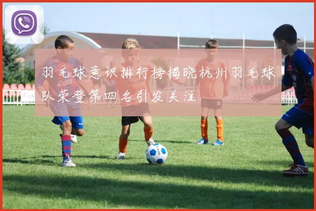羽毛球意识排行榜揭晓杭州羽毛球队荣登第四名引发关注