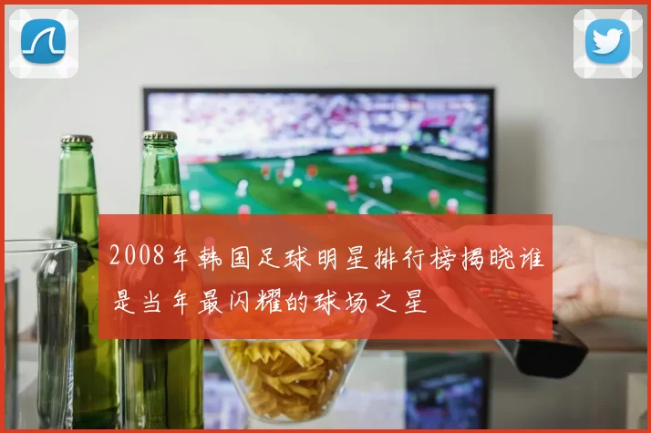 2008年韩国足球明星排行榜揭晓谁是当年最闪耀的球场之星