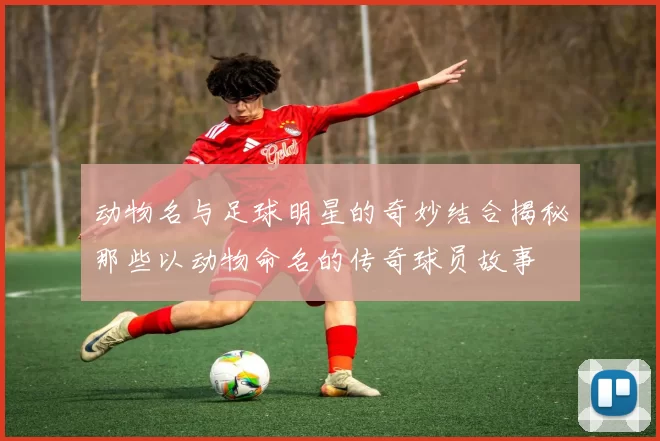 动物名与足球明星的奇妙结合揭秘那些以动物命名的传奇球员故事