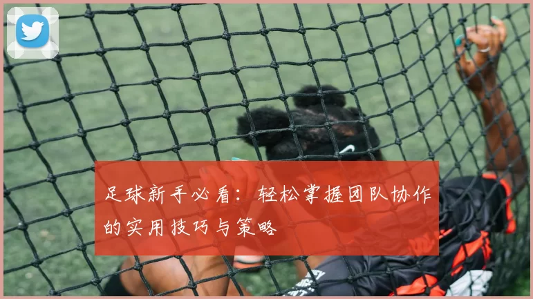 足球新手必看：轻松掌握团队协作的实用技巧与策略