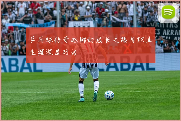 乒乓球传奇赵娜的成长之路与职业生涯深度对话