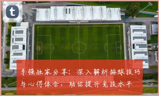 李强独家分享：深入解析排球技巧与心得体会，助你提升竞技水平
