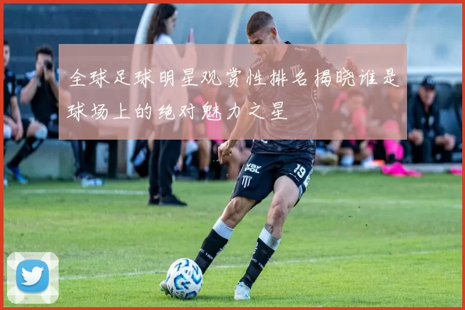全球足球明星观赏性排名揭晓谁是球场上的绝对魅力之星