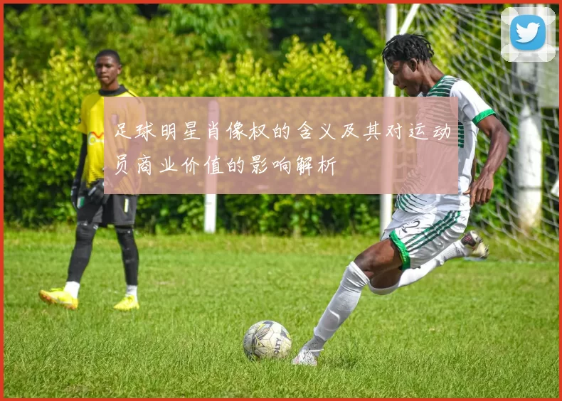 足球明星肖像权的含义及其对运动员商业价值的影响解析