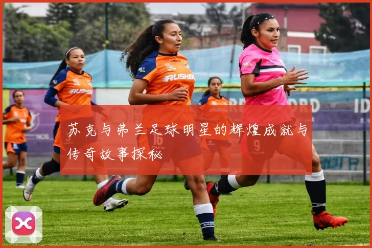苏克与弗兰足球明星的辉煌成就与传奇故事探秘