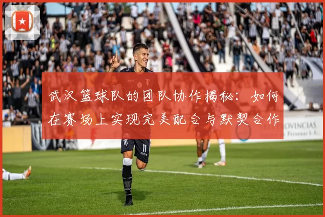 武汉篮球队的团队协作揭秘：如何在赛场上实现完美配合与默契合作